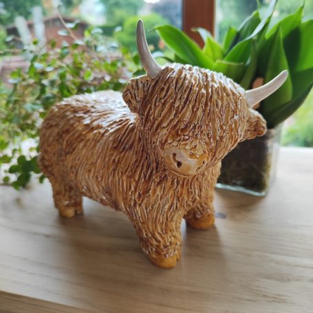 Petit taureau hylandais